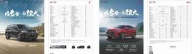全新一代唐单页唐DM单页