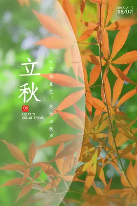 立秋二十四节气插画海报