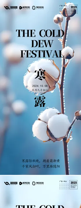 寒露节气海报小鸟果实摄影
