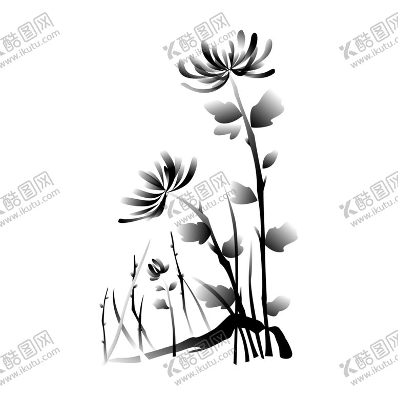 编号：22234504252312443984【酷图网】源文件下载-菊花装饰