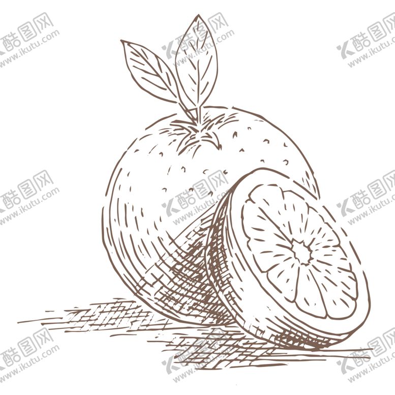 编号：27506207132103558364【酷图网】源文件下载-水果