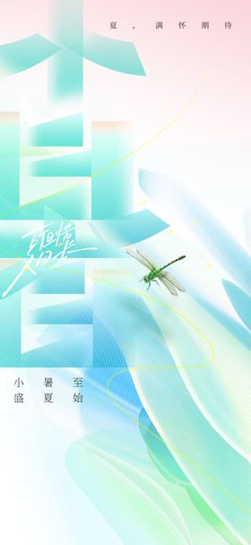 小暑传统活动宣传节气