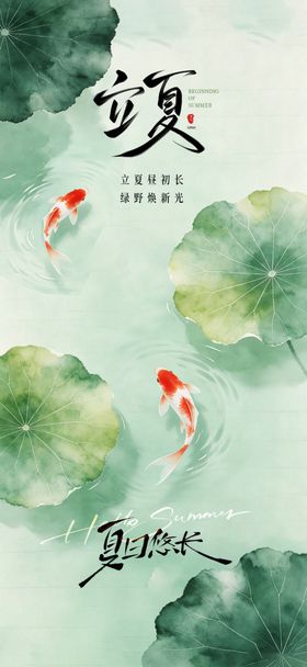 夏日池塘锦鲤游动画面