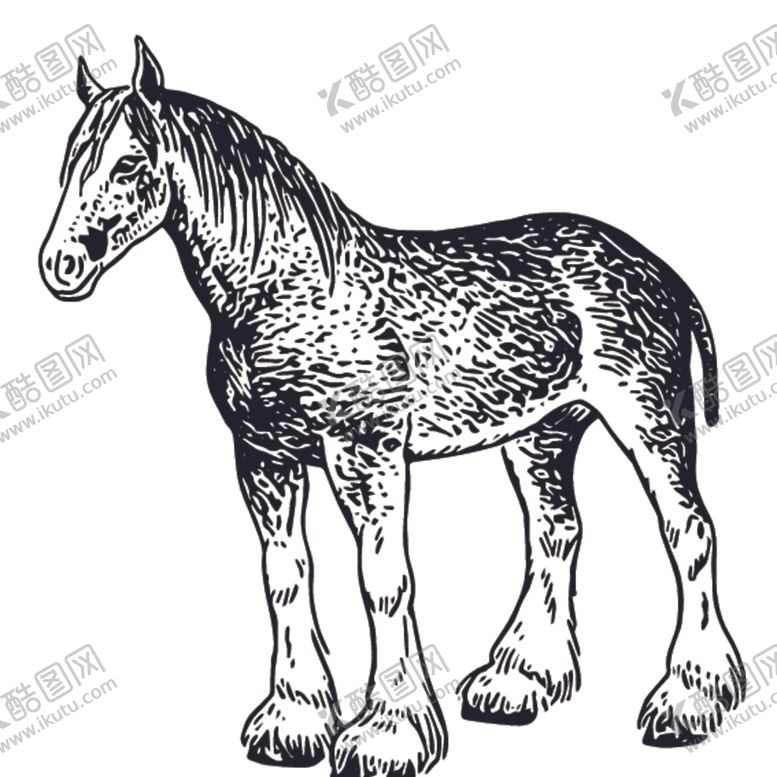 编号：97937609090540168029【酷图网】源文件下载-家禽动物线稿绘画图案