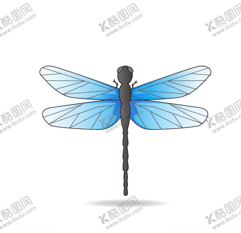 编号：73998704181525452142【酷图网】源文件下载-蓝色蜻蜓昆虫图片插画