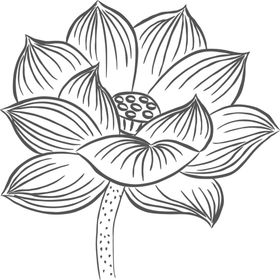 荷花简笔画