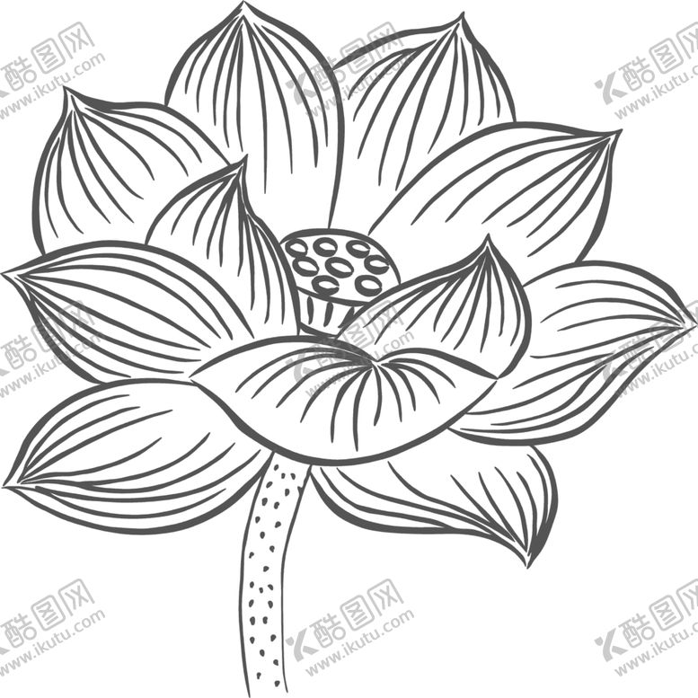 编号：71329505080926308654【酷图网】源文件下载-荷花简笔画