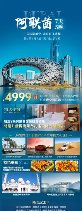 国航单机票
