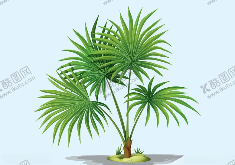 编号：33835010041925031105【酷图网】源文件下载-热带植物矢量