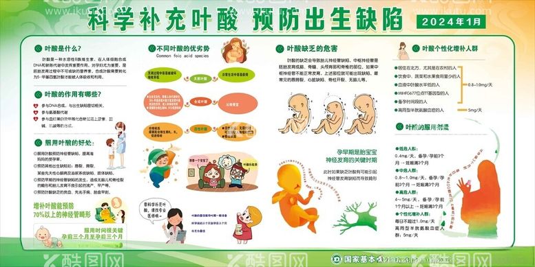 编号：69603011231130497341【酷图网】源文件下载-科学补充叶酸预防出生缺陷