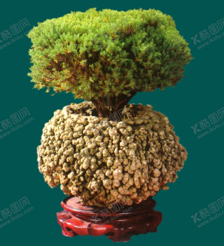 编号：50742709091704388471【酷图网】源文件下载-盆景