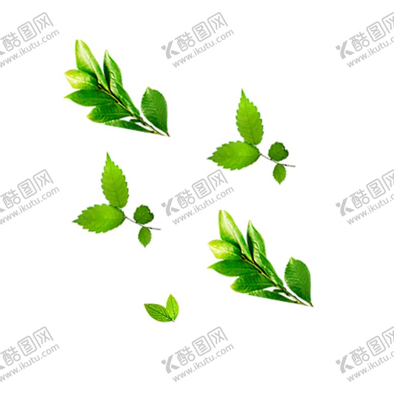 编号：90045510180333407318【酷图网】源文件下载-绿色相框