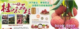 桂味荔枝