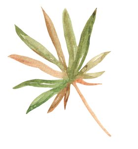 水彩植物花朵图案