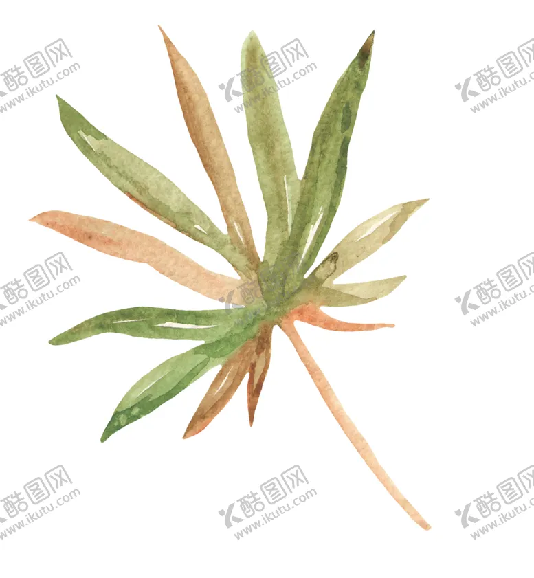 编号：15266406232205575253【酷图网】源文件下载-水彩植物花朵图案