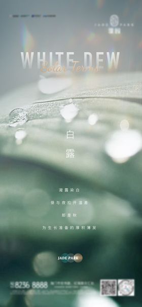 地产白露海报