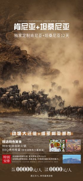 非洲旅游海报