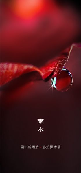 雨水海报