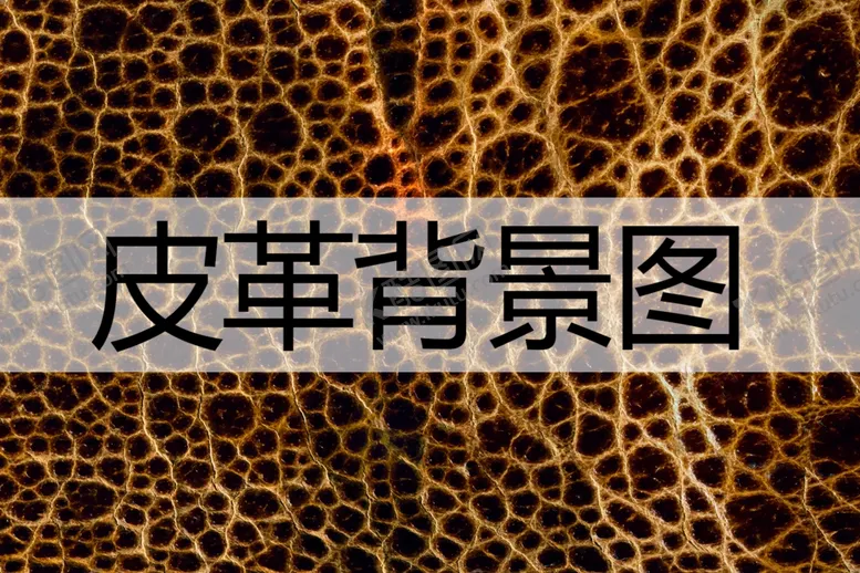 编号：33075601182105092818【酷图网】源文件下载-皮革