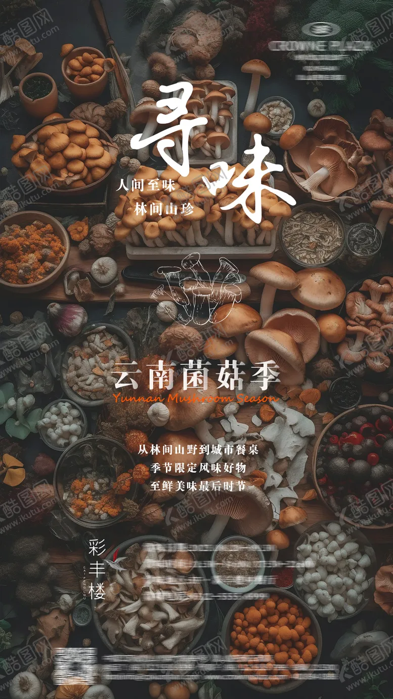 编号：78436612120855049538【酷图网】源文件下载-云南菌菇季海报