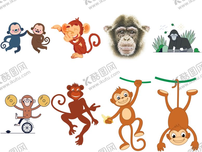 编号：38867810051308416648【酷图网】源文件下载-猴子
