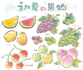 初夏缤纷果物插画