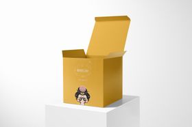 包装盒样机素材模板展示收纳打箱