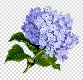 花数码印个性小