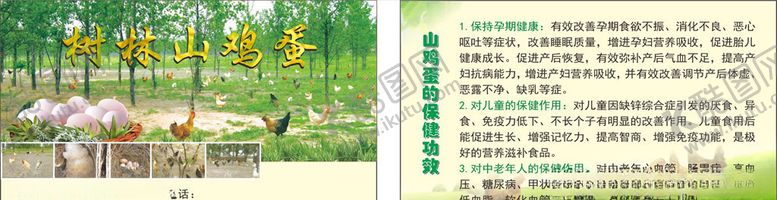 编号：95775006231422116534【酷图网】源文件下载-树林土鸡蛋