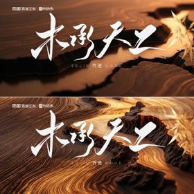 地产家居实木板材会议发布会