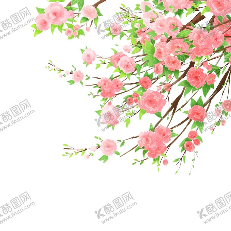 编号：95377405142342179429【酷图网】源文件下载-插画蔷薇花朵元素