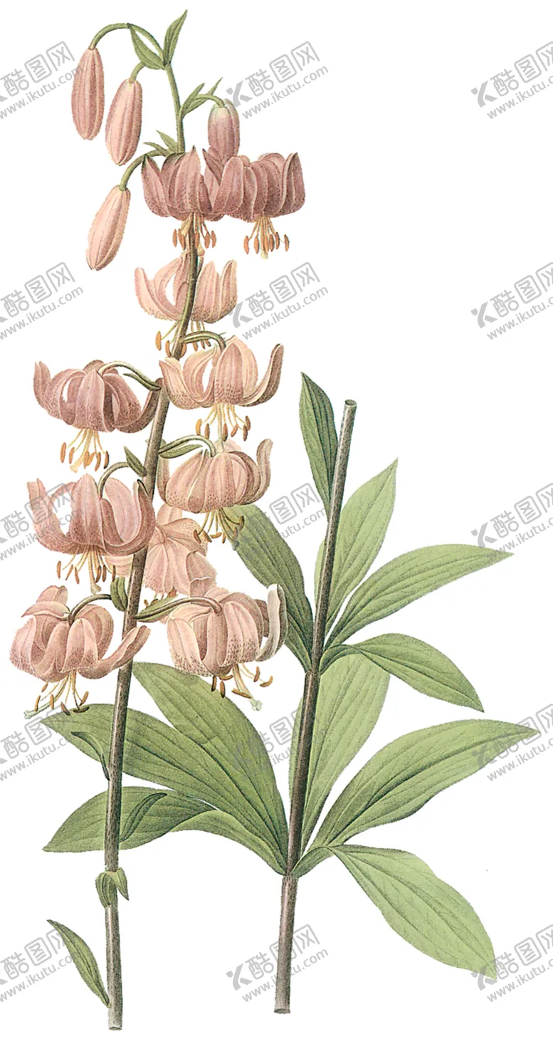 编号：37266409111336591364【酷图网】源文件下载-植物花卉油画装饰画