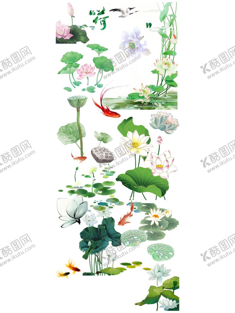 编号：32539407081356031837【酷图网】源文件下载-荷花