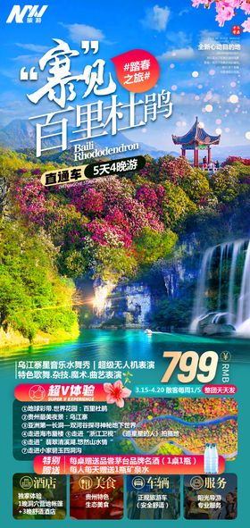 百里杜鹃平坝樱花