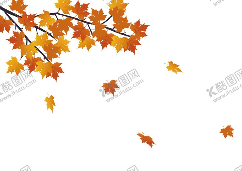 编号：66380209141546584445【酷图网】源文件下载-枫叶秋天装饰背景海报素材