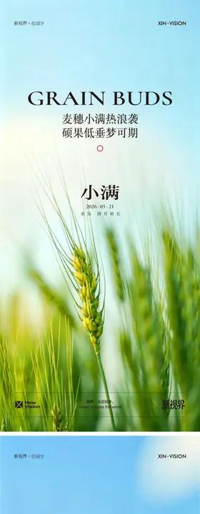 小满节气海报单图