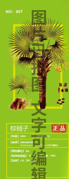 棕榈子