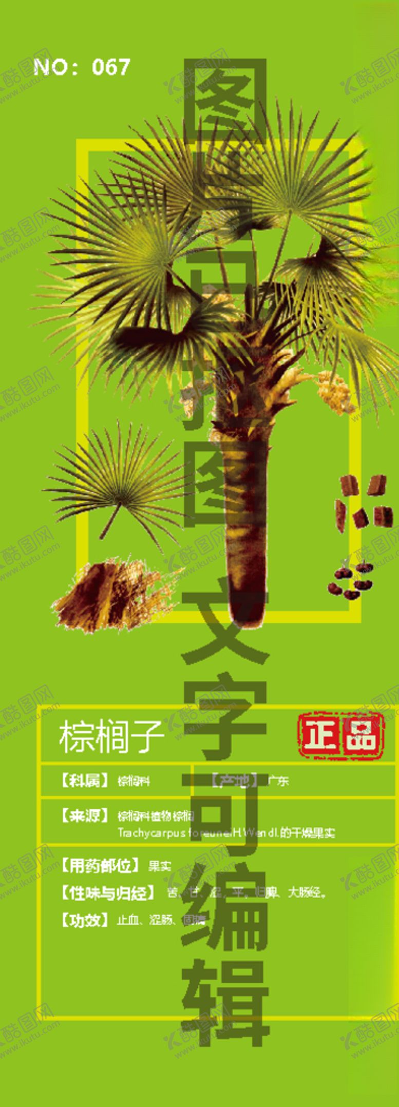 编号：22008105110448097142【酷图网】源文件下载-棕榈子