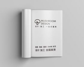 画册样机材质vi立体自然