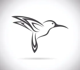 小鸟黑色手绘插图