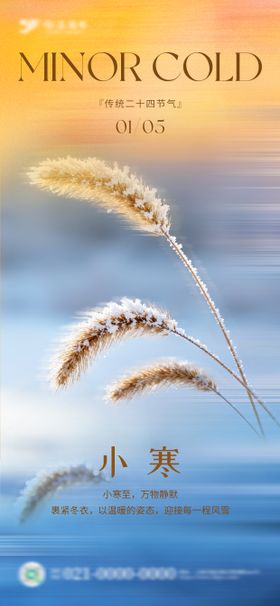 小寒大寒冬季节气海报