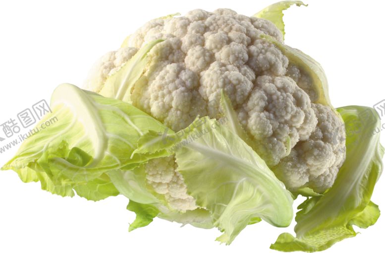 编号：54675709262027073028【酷图网】源文件下载-菜花