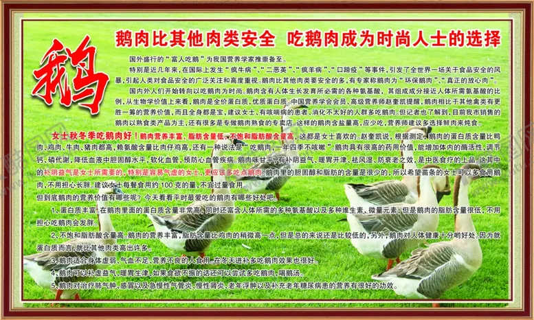 编号：22288305021606082265【酷图网】源文件下载-吃鹅的好处