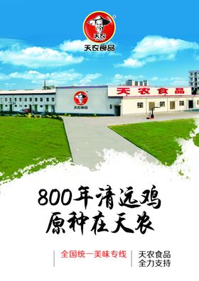 清远鸡海报