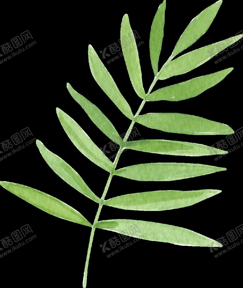 编号：64359211012054353730【酷图网】源文件下载-水彩植物 叶子花卉