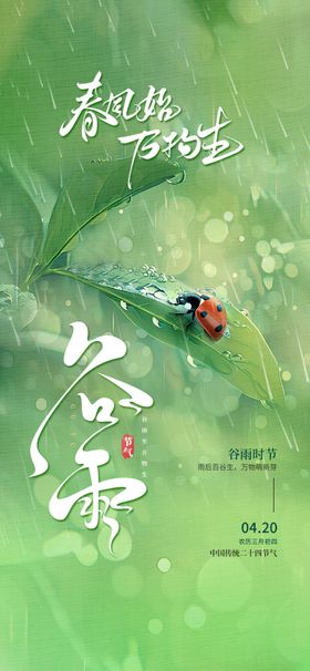 清新谷雨时节自然景象