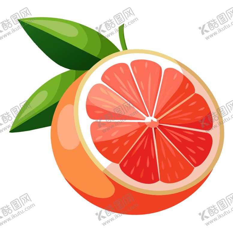 编号：50092902181547176237【酷图网】源文件下载-葡萄柚剖面素材