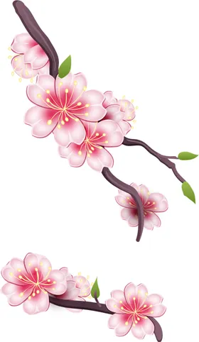花卉