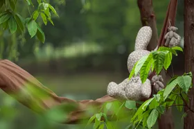 儿童照相模板