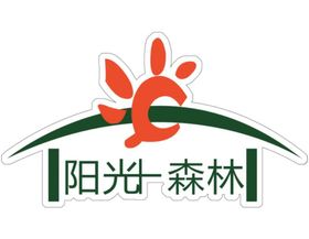 森林阳光